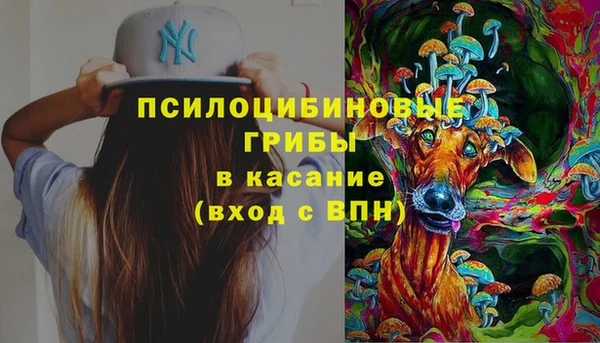 мдпв Михайловск