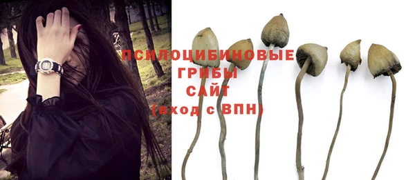 бутират Михайловка