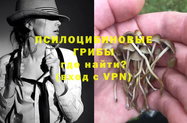 кристаллы Вяземский