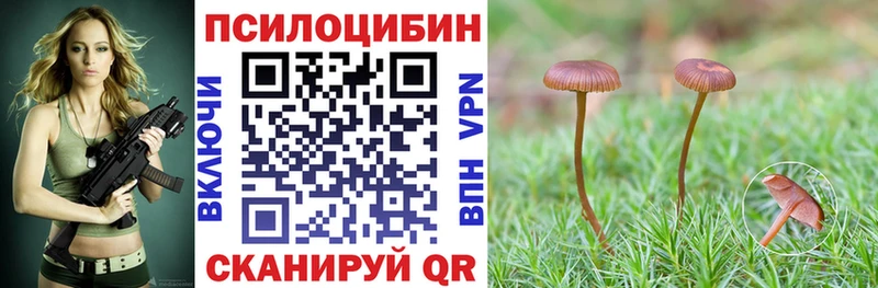 Псилоцибиновые грибы ЛСД  дарк нет состав  Вытегра 